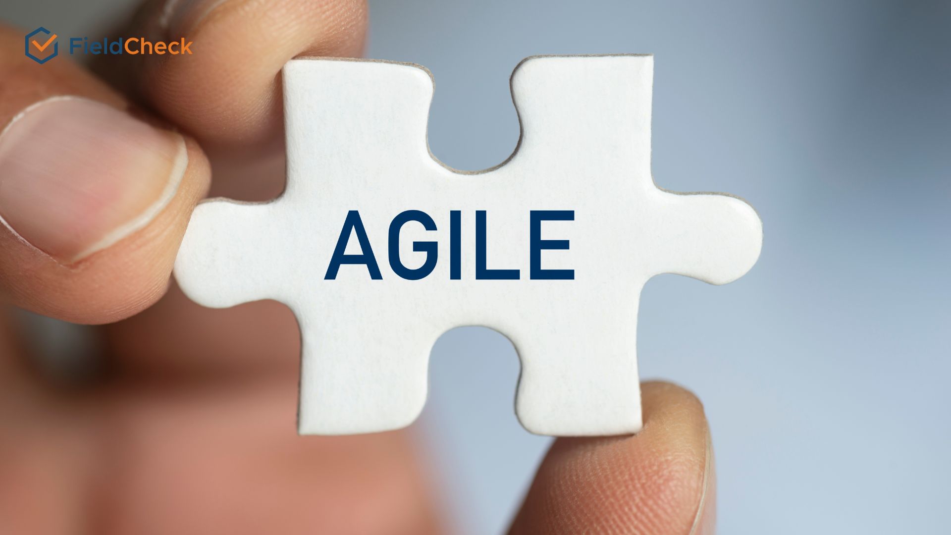 agile model