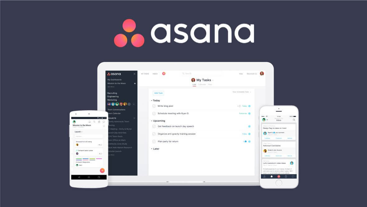 asana software