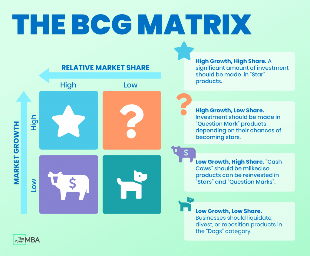 assignment on bcg matrix